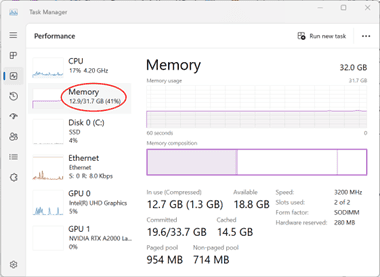 pic1-memory