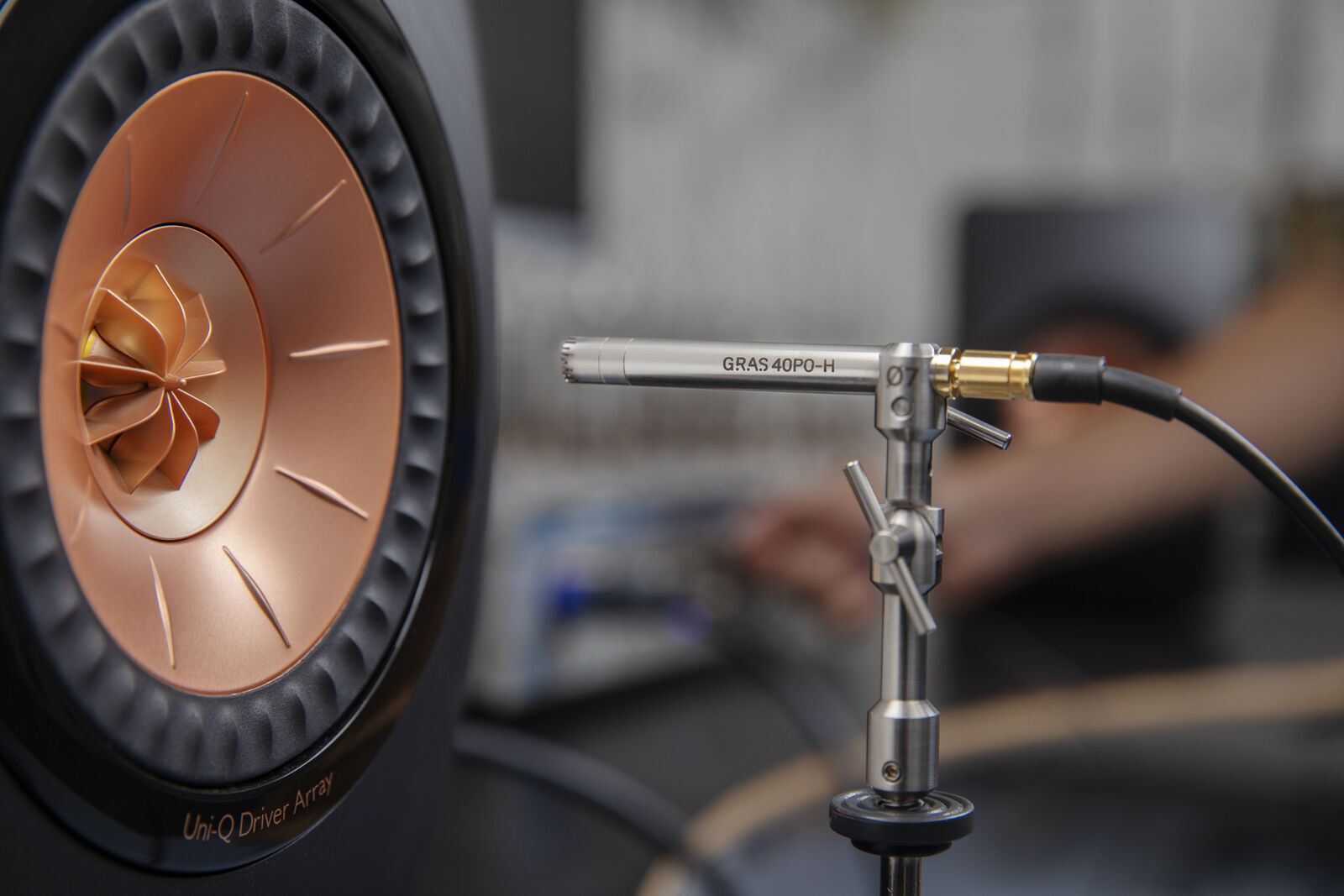 GRAS_40PO-H-09_WEB-medium